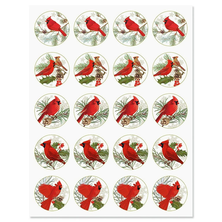 https://i5.walmartimages.com/seo/Current-Christmas-Cardinals-Stickers-Set-of-40-on-2-sticker-sheets-Red-Bird-Activity-Stickers_d27ff5b2-7760-47b7-90f7-f4b1db42f0a1.a4c0f58cbace05bd85a3aca5d629434f.jpeg?odnHeight=768&odnWidth=768&odnBg=FFFFFF