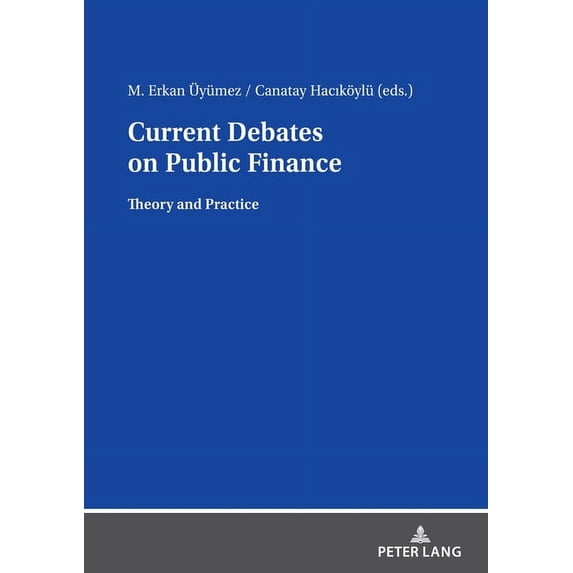 Current Debates on Public Finance: Theory and Practice (Paperback)