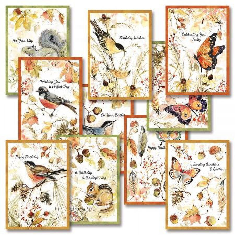 Current Feathers & Birds Birthday Greeting Cards Value Pack by Susan