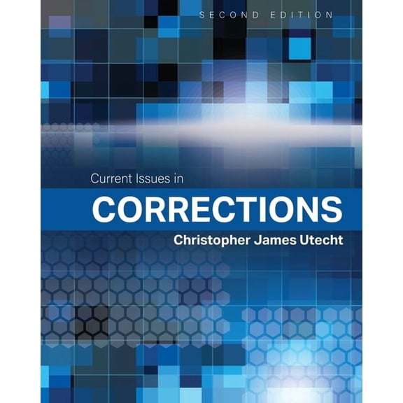 Current Issues in Corrections, (Paperback)