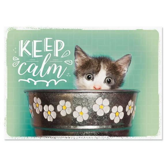 Current Keep Calm Friendship Card, Single Card With Envelope, Cat Design