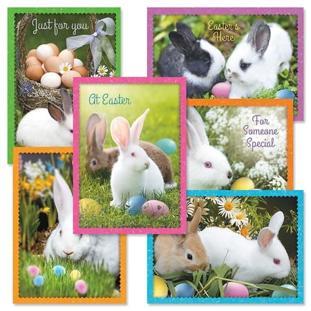 Current Photo Bunny Easter Greeting Cards Value Pack - Set of 12 (6 designs), Large 5"x 7"