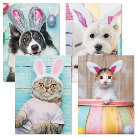 Current Picture This Dogs and Cats Easter Cards - Set of 8, 2 of Each Design, 5" x 7", Easter Pet Cards