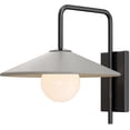 thumbnail image 1 of Currey And Company 5500-0058 Bothy 18" Tall Wall Sconce - Natural / Black / Frosted White, 1 of 1