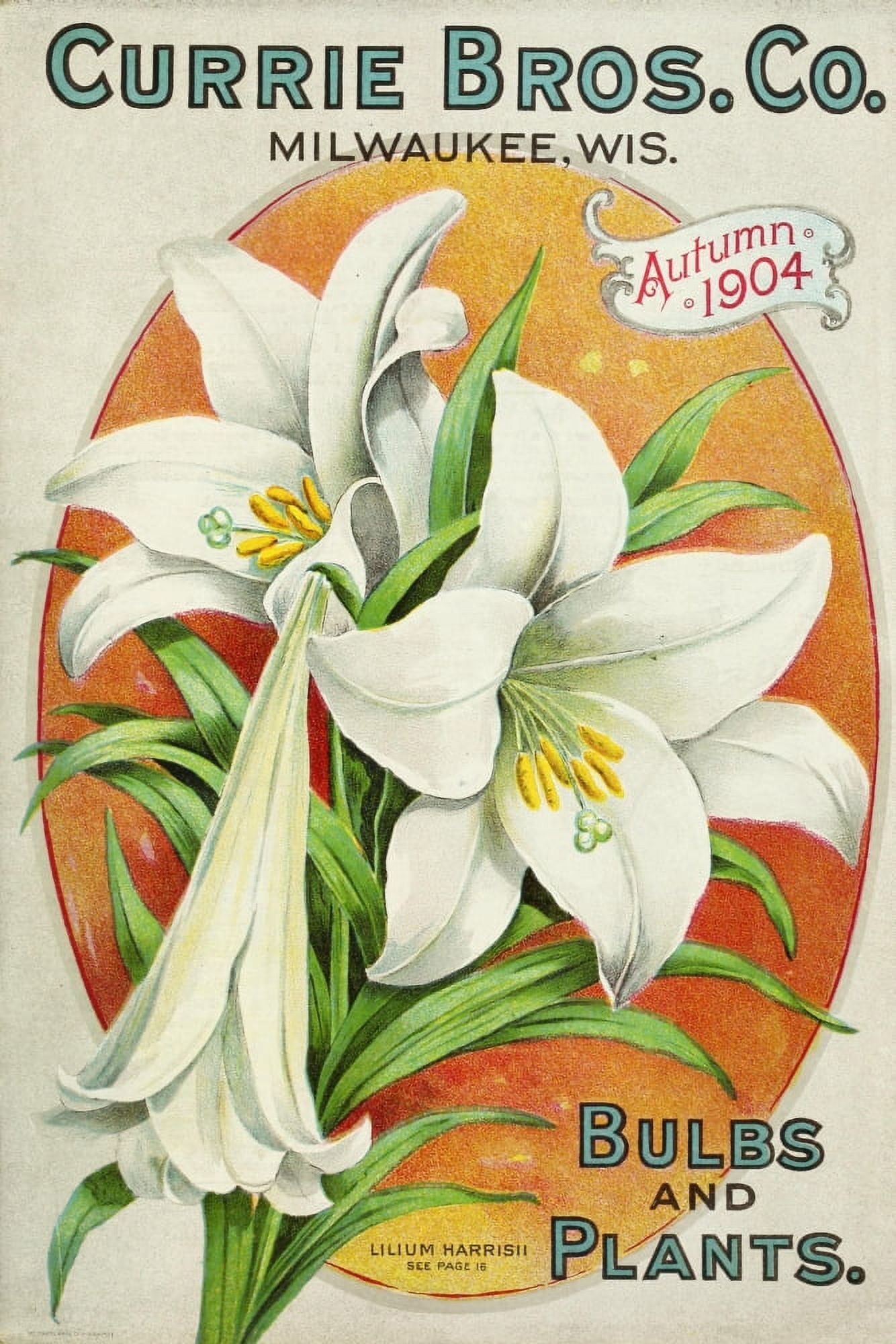 Currie Bros Co 1904 Canvas Art -  (24 x 36)