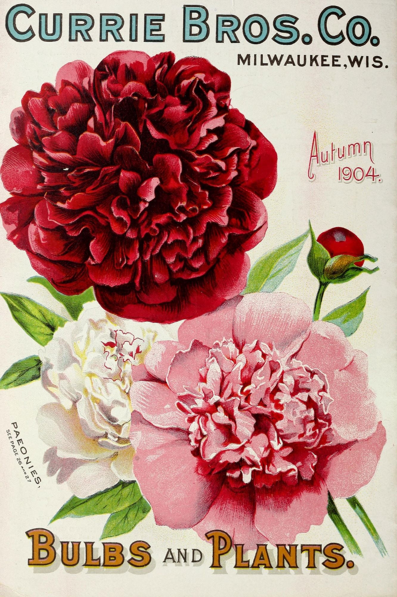 Currie Bros Co Autumn 1904 Canvas Art -  (18 x 24)