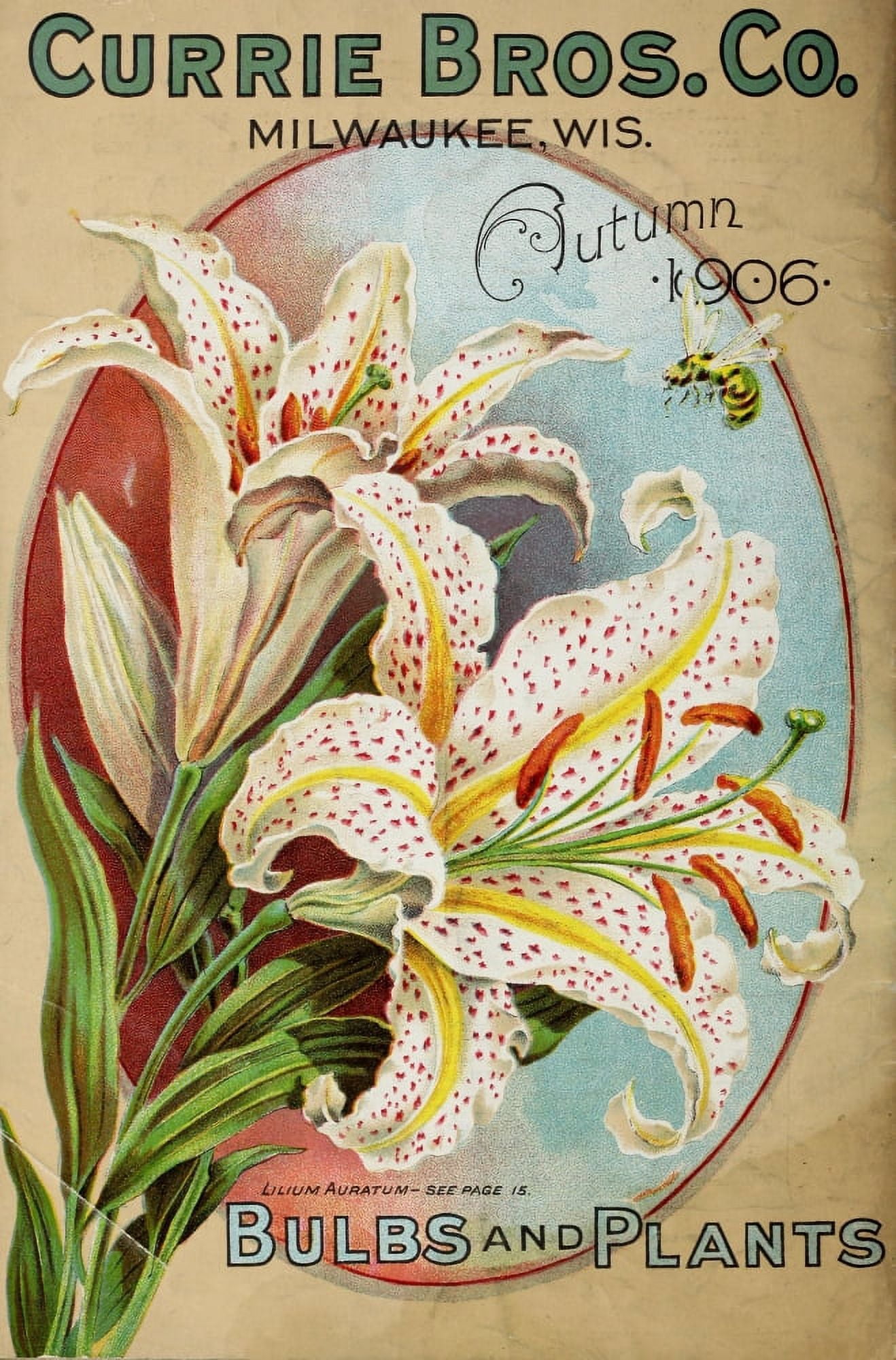 Currie Bros Co Autumn 1906 Canvas Art - (18 x 24)