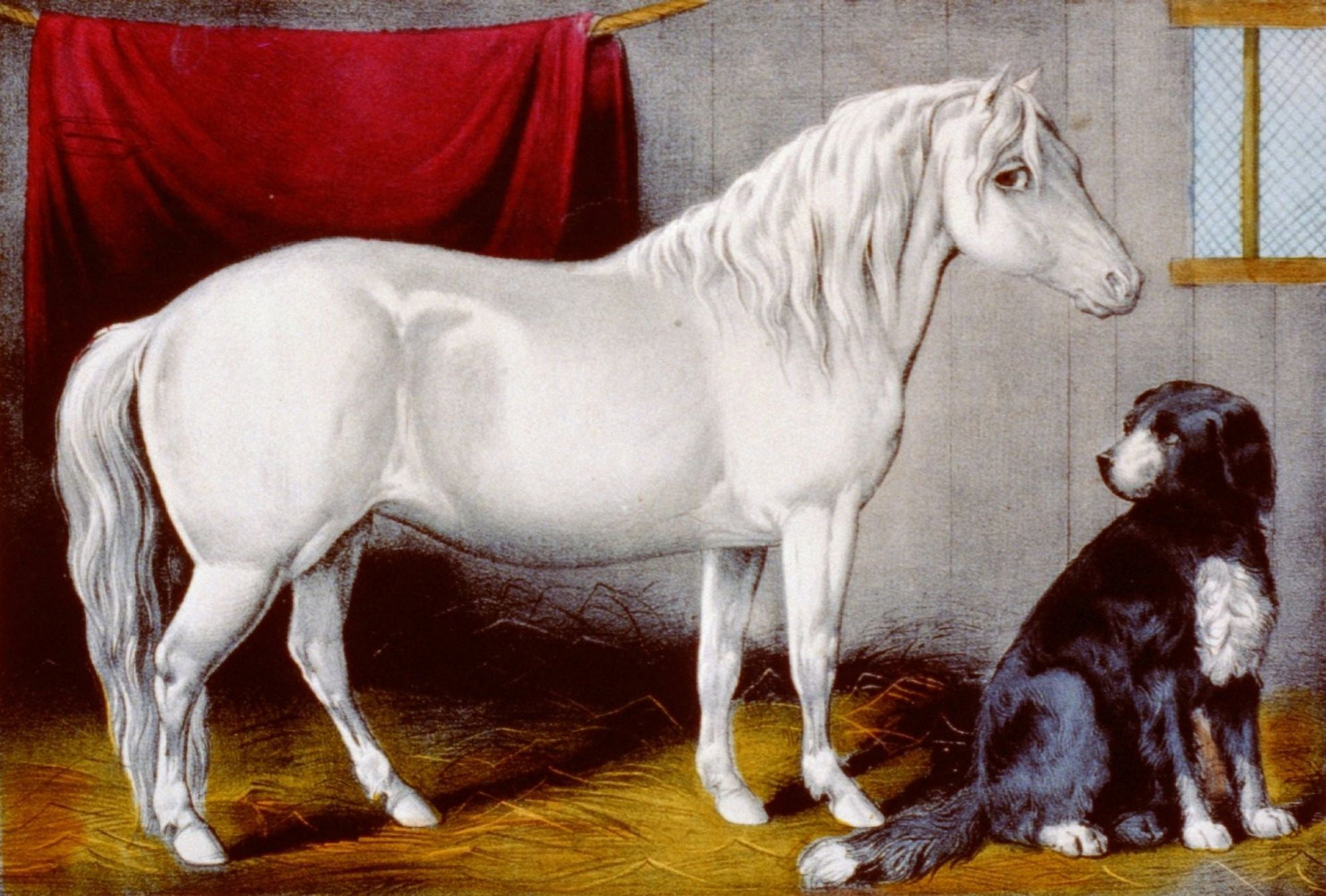 Currier & Ives My Pony & dog c1856-1907 Canvas Art - Currier & Ives (24 x 36)