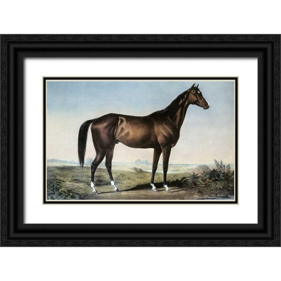 Currier and Ives 14x10 Black Ornate Wood Framed with Double Matting Museum Art Print Titled - Celebrated Horse Lexington