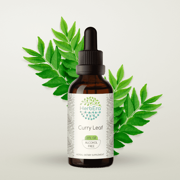HerbEra Curry Leaf Tincture, Herbal Dietary Supplement for Digestive Support, Curry Leaf (Murraya koenigii) Dried Leaf Extract, Natural, Alcohol-Free, Drops 2 oz