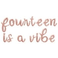 thumbnail image 1 of Cursive Script Letter Balloons - FOURTEEN IS A VIBE 16" Inch Alphabet Letters Foil Mylar Balloon 14th Birthday Party Banner (Rose Gold), 1 of 5