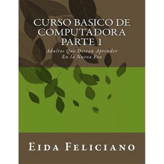Curso Basico De Computadora: Para Adultos Con Deseos De Aprender (Paperback)