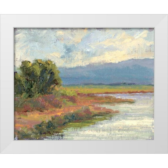 Curt, Brigitte 18x15 White Modern Wood Framed Museum Art Print Titled - Jewels of the Wetlands Series One