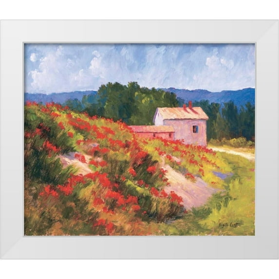 Curt, Brigitte 30x26 White Modern Wood Framed Museum Art Print Titled - Late Spring Poppies