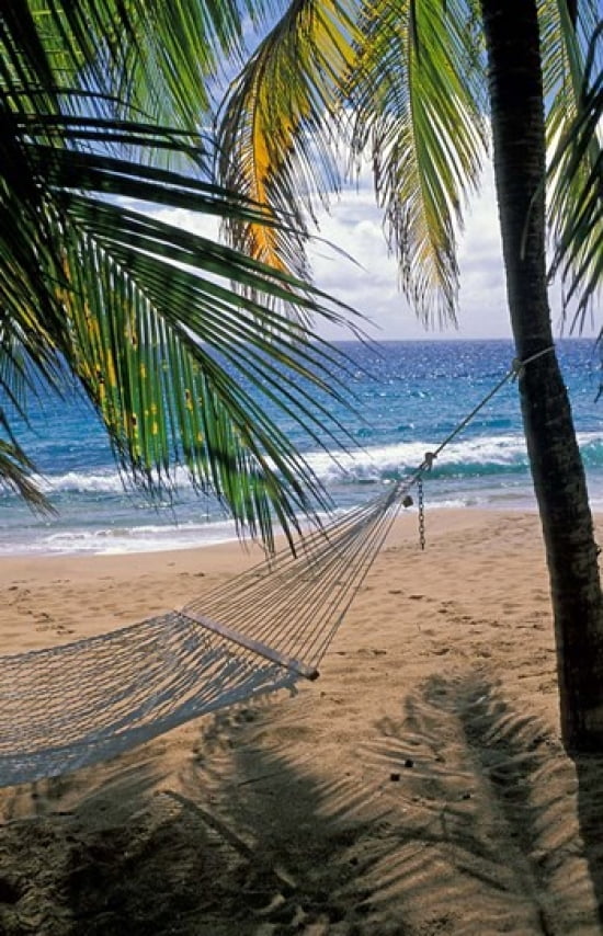 Curtain Bluff Hotel Beach Antigua Caribbean Canvas Art - Nik Wheeler DanitaDelimont (18 x 27)
