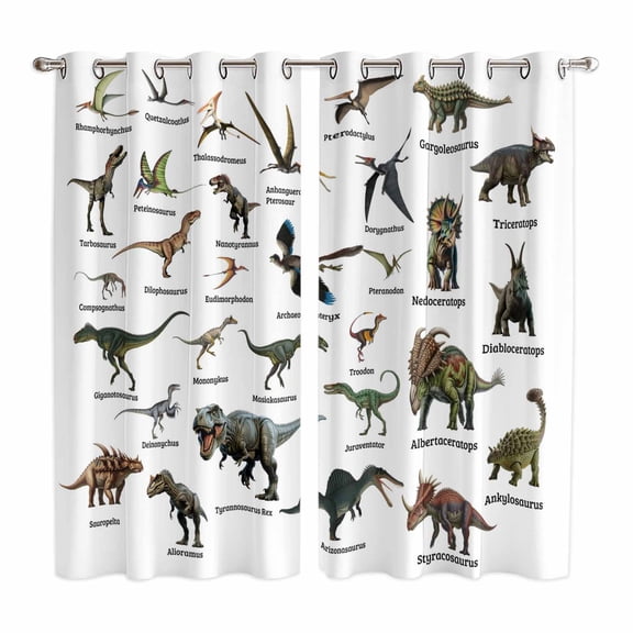 Curtains 63 Inch Length 2 Panels, Funny Dinosaurs Grommets Window Treatment Curtain, Primitive Natural Wild Animals Names Thermal Curtains Drapes for Living Room/Bathroom