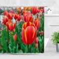 thumbnail image 1 of Curtains Decor Bathroom Waterproof Modern Scenery Natural Garden Butterfly Flowers Spring Set Curtain Shower Tulip Color Floral, 1 of 5