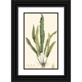 thumbnail image 1 of Curtis 10x14 Black Ornate Wood Framed with Double Matting Museum Art Print Titled - Curtis Ferns IV, 1 of 4