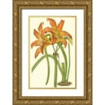 thumbnail image 1 of Curtis 10x14 Gold Ornate Wood Framed with Double Matting Museum Art Print Titled - Lily Varieties IV, 1 of 4