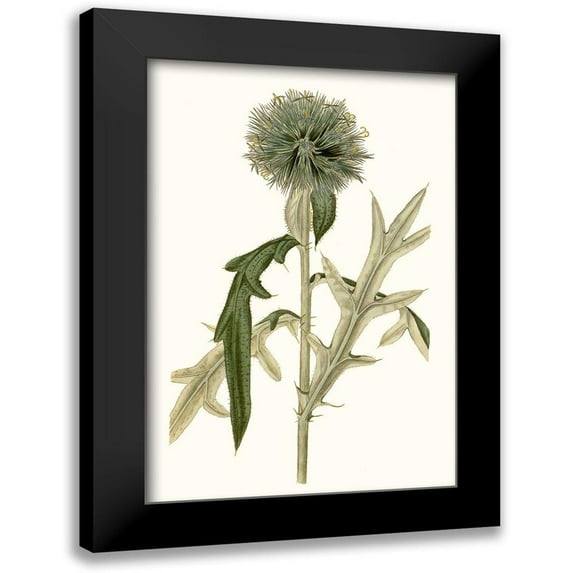 Curtis 11x14 Black Modern Framed Museum Art Print Titled - Soft Blue Botanicals VI