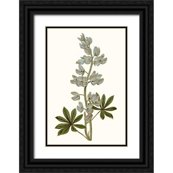 Curtis 11x14 Black Ornate Wood Framed with Double Matting Museum Art Print Titled - Soft Blue Botanicals VIII