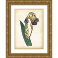 thumbnail image 1 of Curtis 11x14 Gold Ornate Wood Framed with Double Matting Museum Art Print Titled - Curtis Iris VI, 1 of 4