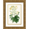 thumbnail image 1 of Curtis 11x14 Gold Ornate Wood Framed with Double Matting Museum Art Print Titled - Floral Lace II, 1 of 4