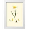 thumbnail image 1 of Curtis 11x14 White Modern Wood Framed Museum Art Print Titled - Curtis Garden IV, 1 of 4