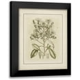 thumbnail image 1 of Curtis 12x14 Black Modern Framed Museum Art Print Titled - Small Tinted Botanical I, 1 of 5