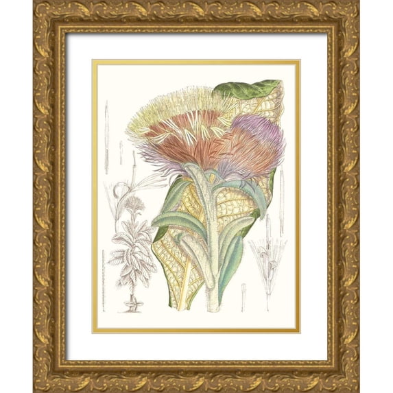 Curtis 12x14 Gold Ornate Wood Framed with Double Matting Museum Art Print Titled - Tropical Variety IX