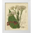 thumbnail image 1 of Curtis 12x14 White Modern Wood Framed Museum Art Print Titled - Curtis Leaves and Blooms II, 1 of 4