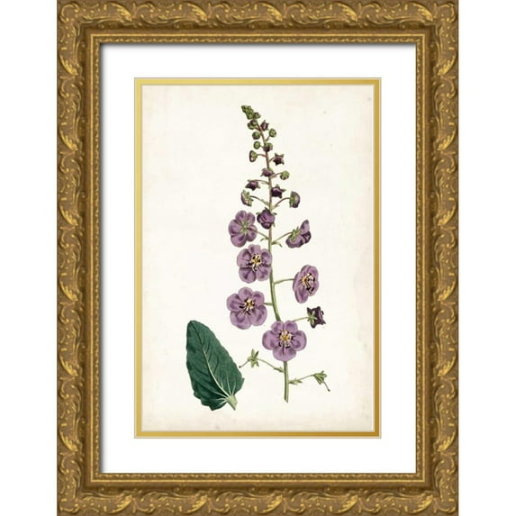 Curtis 13x18 Gold Ornate Wood Framed with Double Matting Museum Art Print Titled - Lavender Florals VI