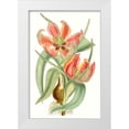thumbnail image 1 of Curtis  13x18 White Modern Wood Framed Museum Art Print Titled - Curtis Tulips I, 1 of 4