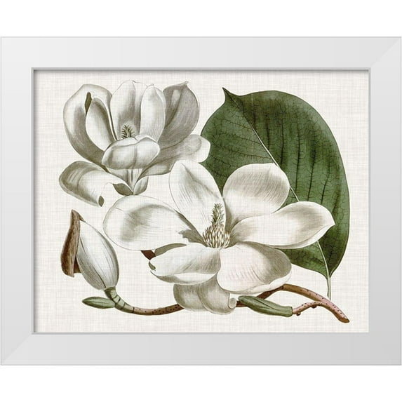 Curtis 14x12 White Modern Wood Framed Museum Art Print Titled - Curtis Magnolia I