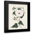 thumbnail image 1 of Curtis 14x18 Black Modern Framed Museum Art Print Titled - Garden Gems V, 1 of 5