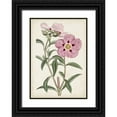 thumbnail image 1 of Curtis 14x18 Black Ornate Wood Framed with Double Matting Museum Art Print Titled - Garden Gems VII, 1 of 4