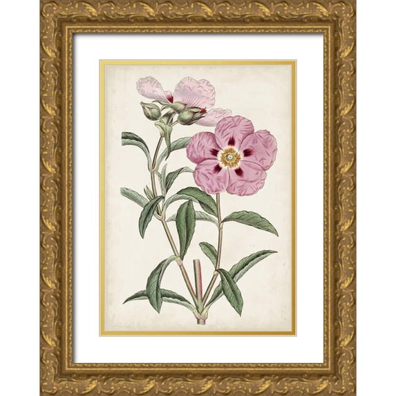 Curtis 14x18 Gold Ornate Wood Framed with Double Matting Museum Art Print Titled - Garden Gems VII