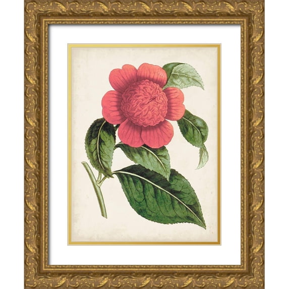 Curtis 15x18 Gold Ornate Wood Framed with Double Matting Museum Art Print Titled - Carnelian Blooms II
