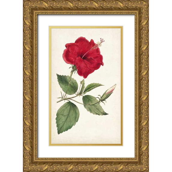 Curtis 16x24 Gold Ornate Wood Framed with Double Matting Museum Art Print Titled - Curtis Garden Beauties III