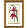 thumbnail image 1 of Curtis 16x24 Gold Ornate Wood Framed with Double Matting Museum Art Print Titled - Curtis Garden Beauties I, 1 of 4