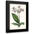 thumbnail image 1 of Curtis 17x24 Black Modern Framed Museum Art Print Titled - Lavender Florals III, 1 of 5