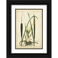 thumbnail image 1 of Curtis 17x24 Black Ornate Wood Framed with Double Matting Museum Art Print Titled - Antique Cattail I, 1 of 4