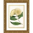 thumbnail image 1 of Curtis 17x24 Gold Ornate Wood Framed with Double Matting Museum Art Print Titled - Floral Lace I, 1 of 4
