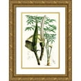 thumbnail image 1 of Curtis  17x24 Gold Ornate Wood Framed with Double Matting Museum Art Print Titled - Tropical Plants IV, 1 of 4