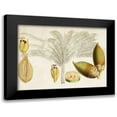 thumbnail image 1 of Curtis 18x15 Black Modern Framed Museum Art Print Titled - Tropical Foliage and Fruit VIII, 1 of 5