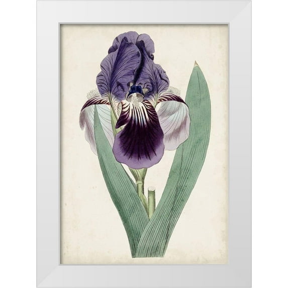 Curtis 18x24 White Modern Wood Framed Museum Art Print Titled - Garden Gems VI