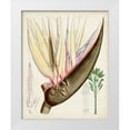 thumbnail image 1 of Curtis  20x24 White Modern Wood Framed Museum Art Print Titled - Delicate Tropicals II, 1 of 4