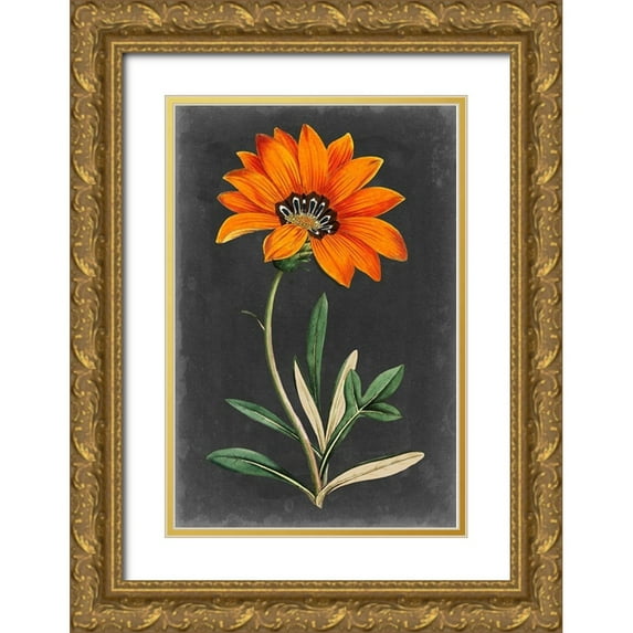 Curtis 23x32 Gold Ornate Wood Framed with Double Matting Museum Art Print Titled - Dramatic Floral I
