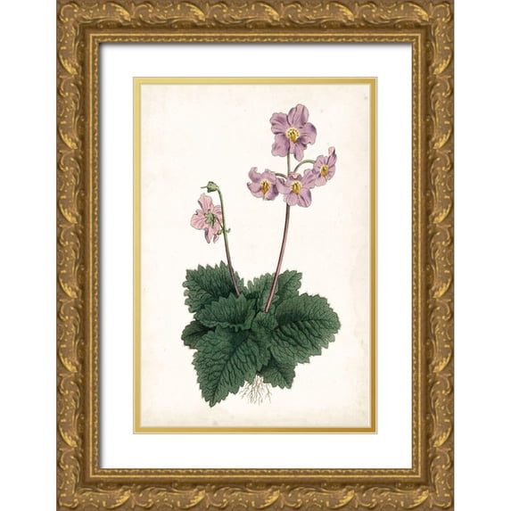 Curtis 23x32 Gold Ornate Wood Framed with Double Matting Museum Art Print Titled - Lavender Florals V