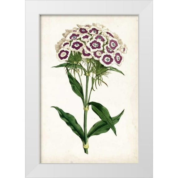 Curtis 23x32 White Modern Wood Framed Museum Art Print Titled - Lavender Florals II